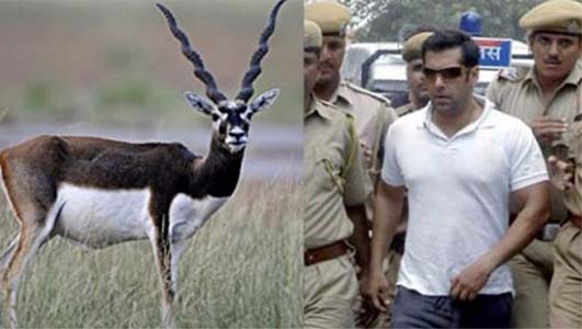 Image result for salmankhan deer case